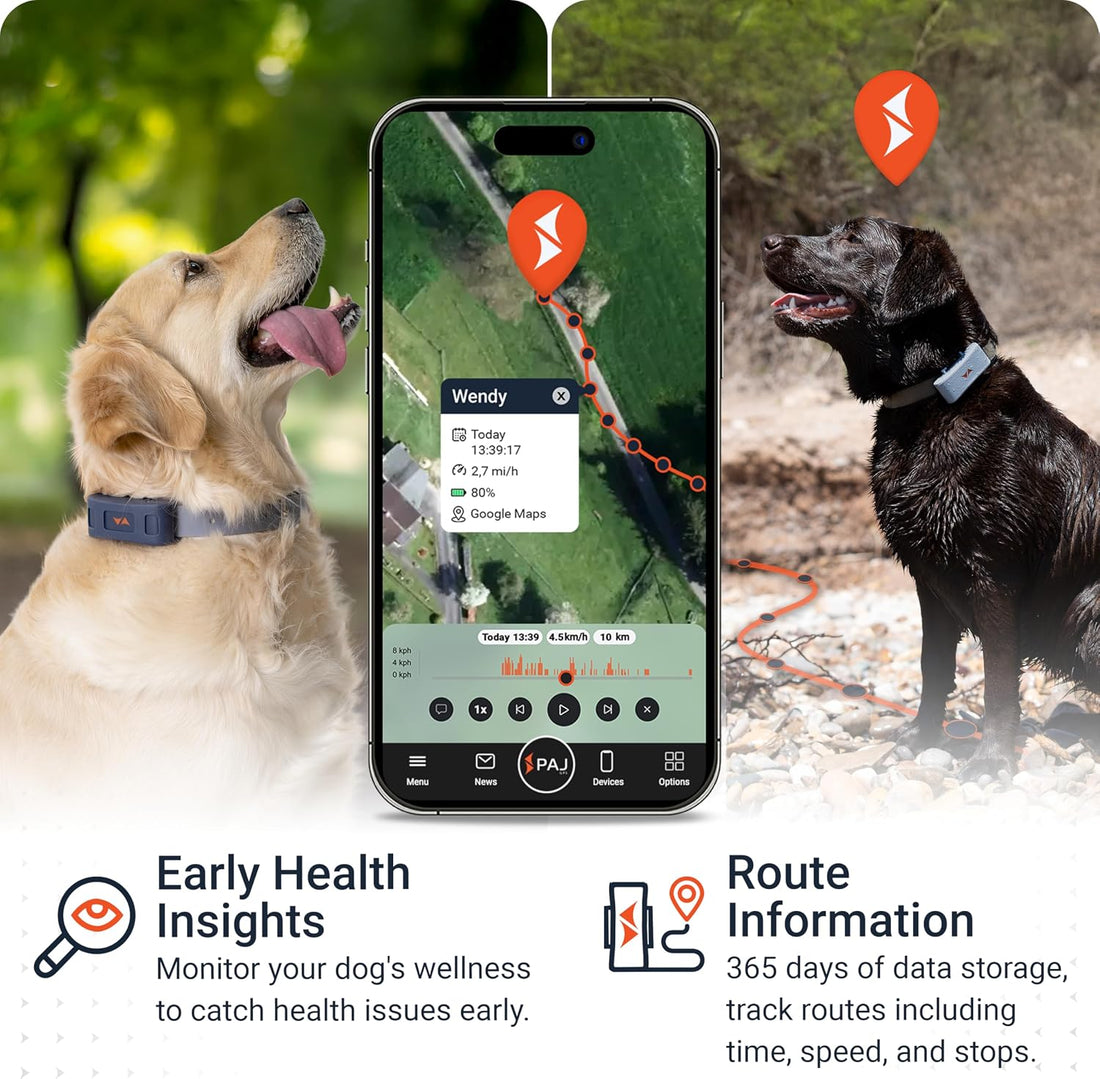 PAJ Dog GPS Tracker 3-Month Subscription Included