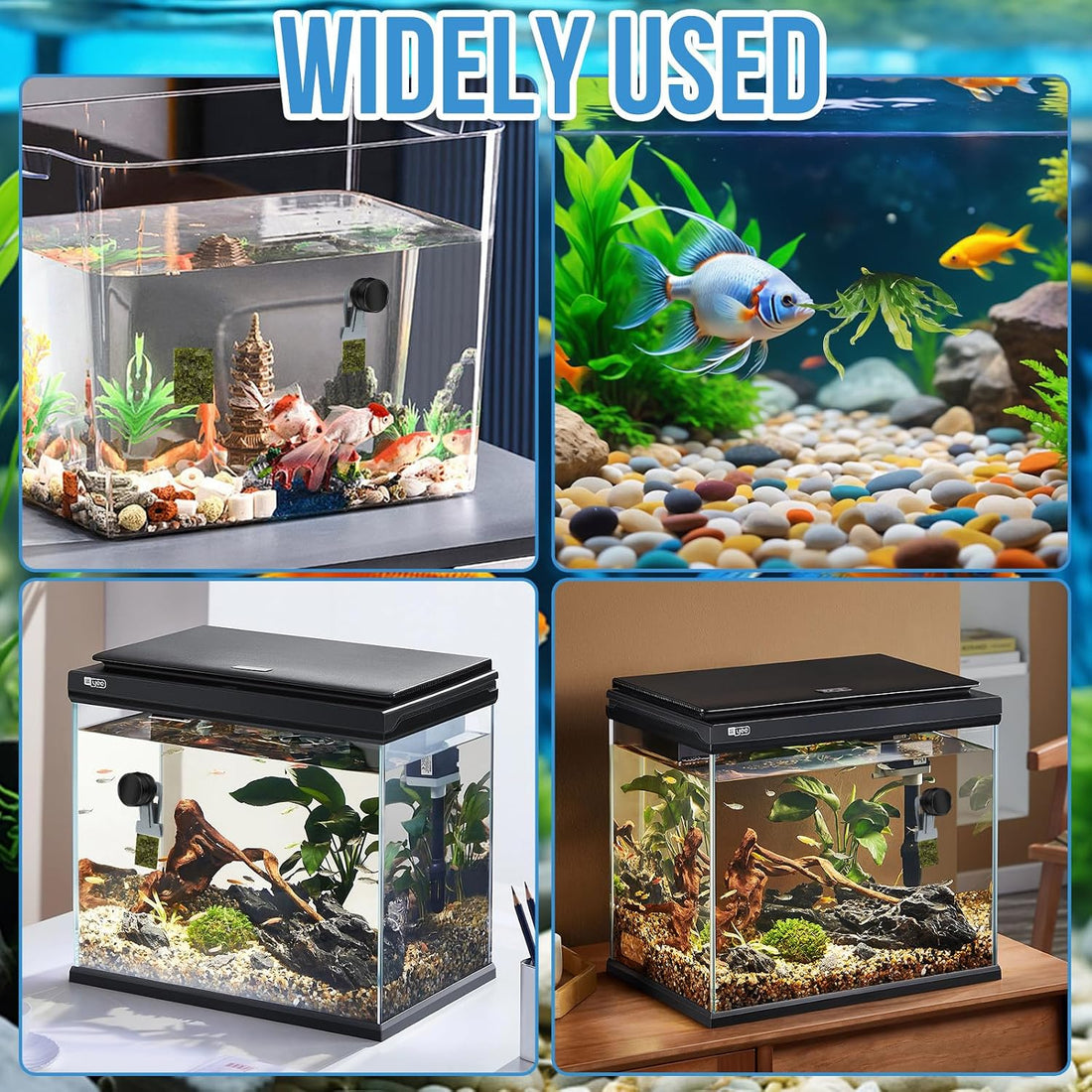Magnetic Seaweed Feeder Clip
