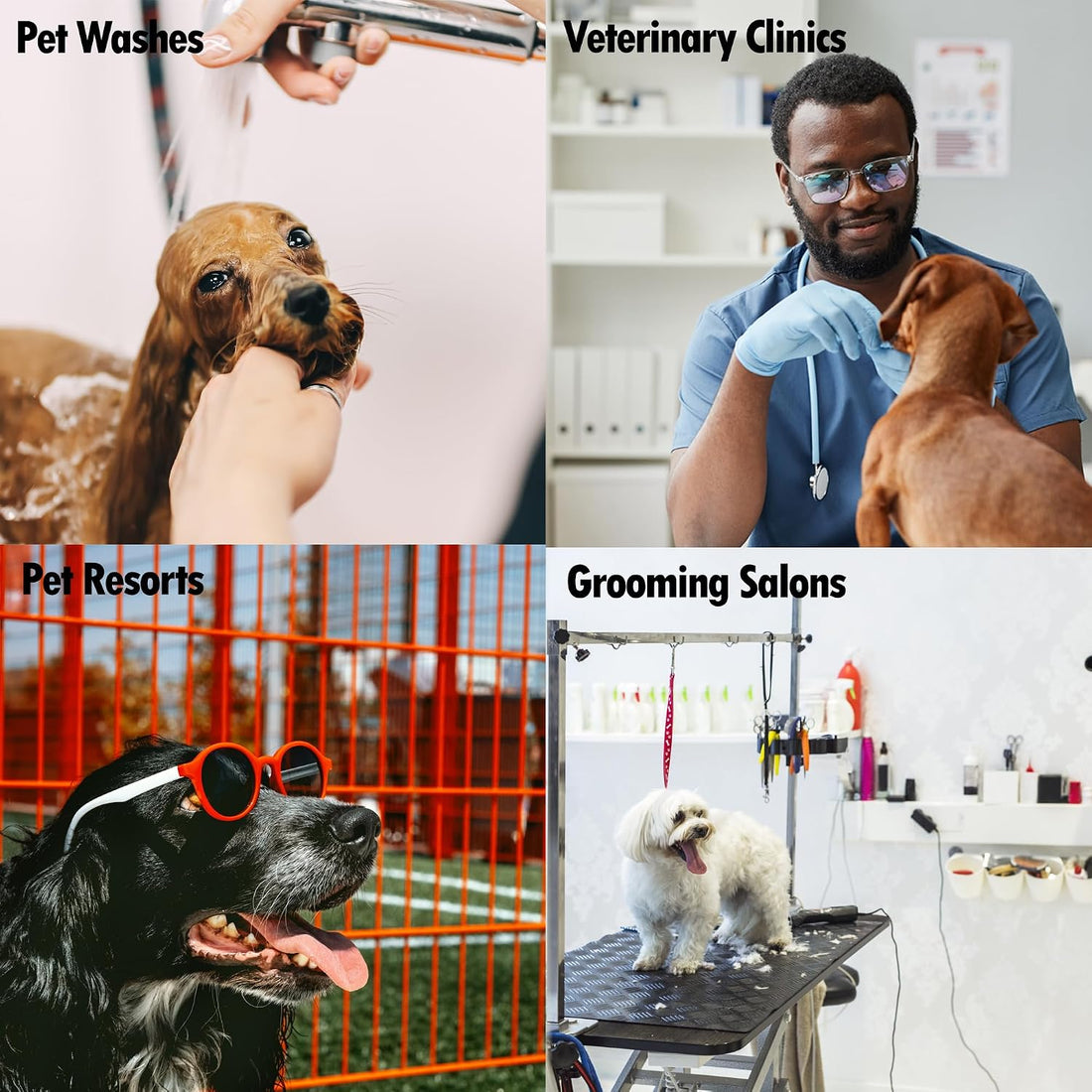 Petology 256:1 Pet Disinfectant and Deodorizer, Fresh and Clean