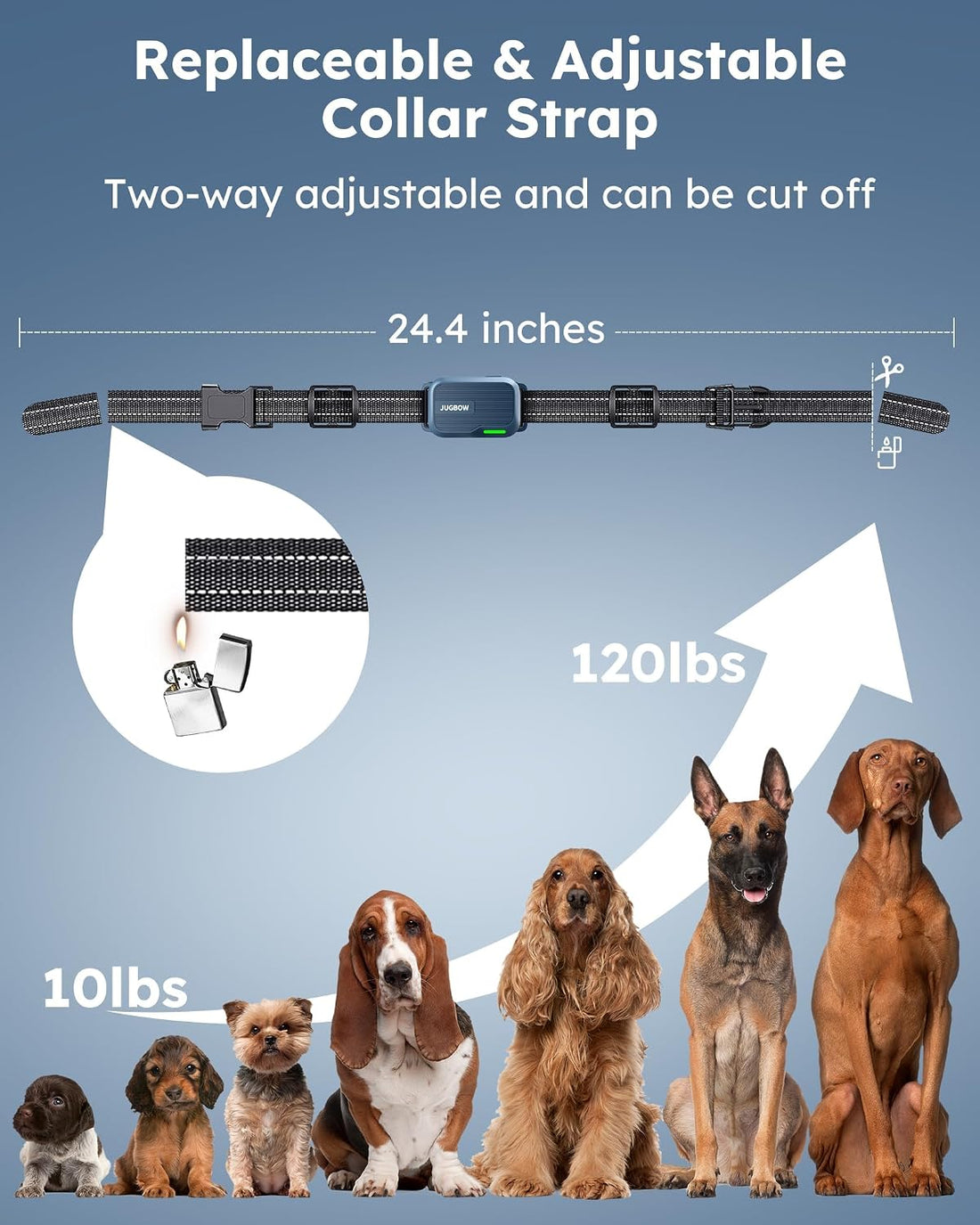 Training Collar for 2 Dogs, 4200FT Dog Shock Collar with Remote