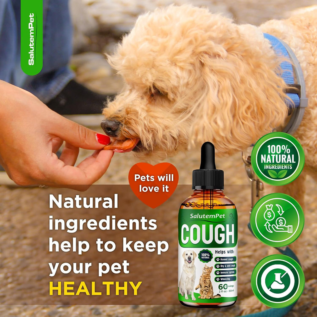 Kennel Cough Medicine for Dogs & Cats
