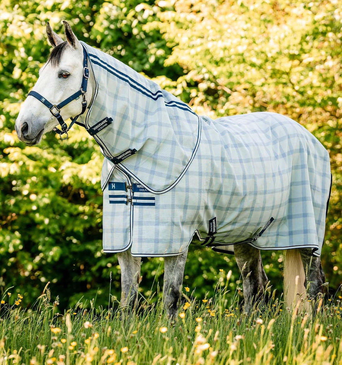 Horseware® Newmarket Exercise Sheet - Witney Pink, L