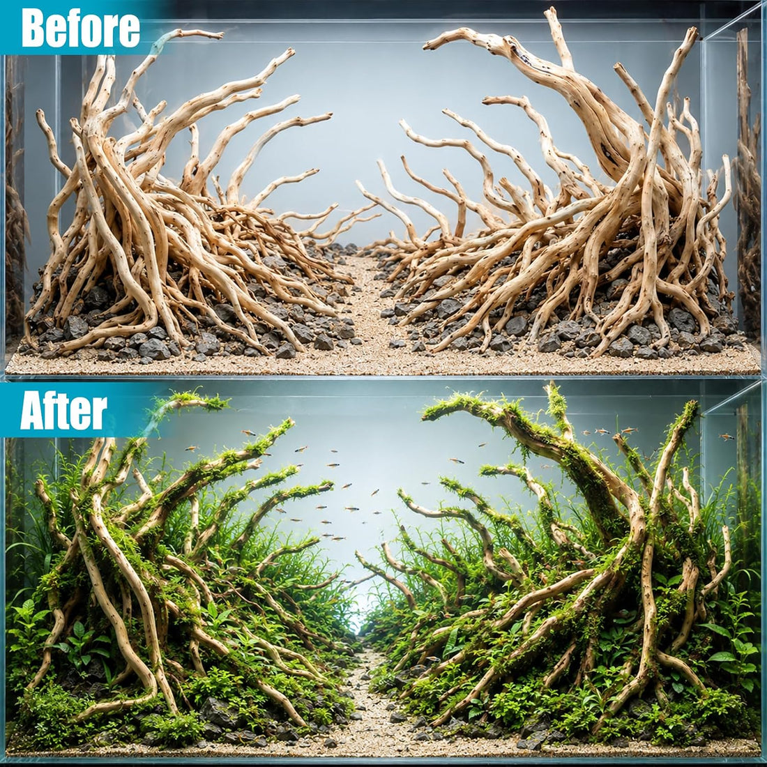 200g Natural Driftwood Root for Aquarium