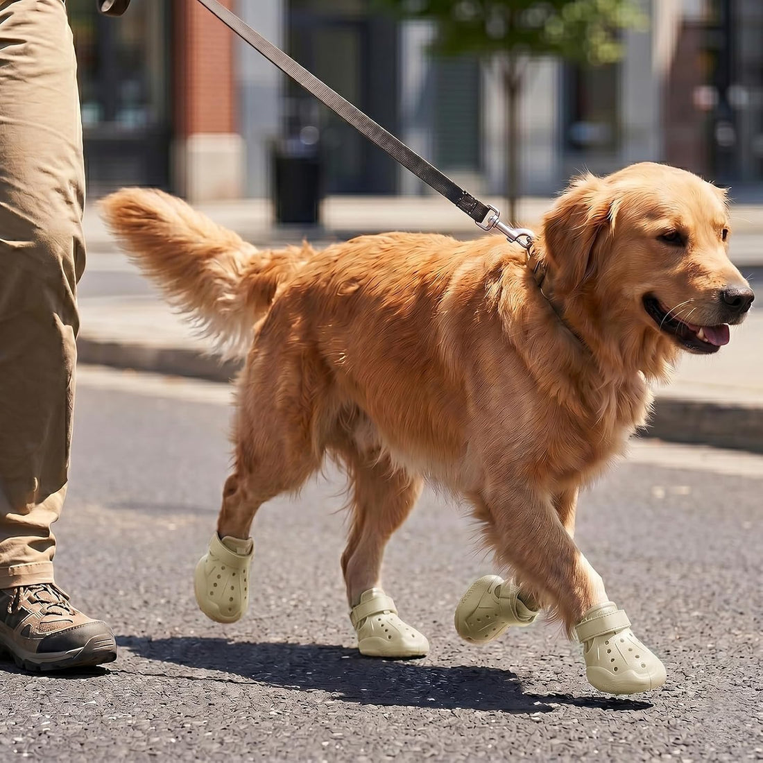 Dog Shoes for Dogs, Clogs Boots Booties Hot Pavement
