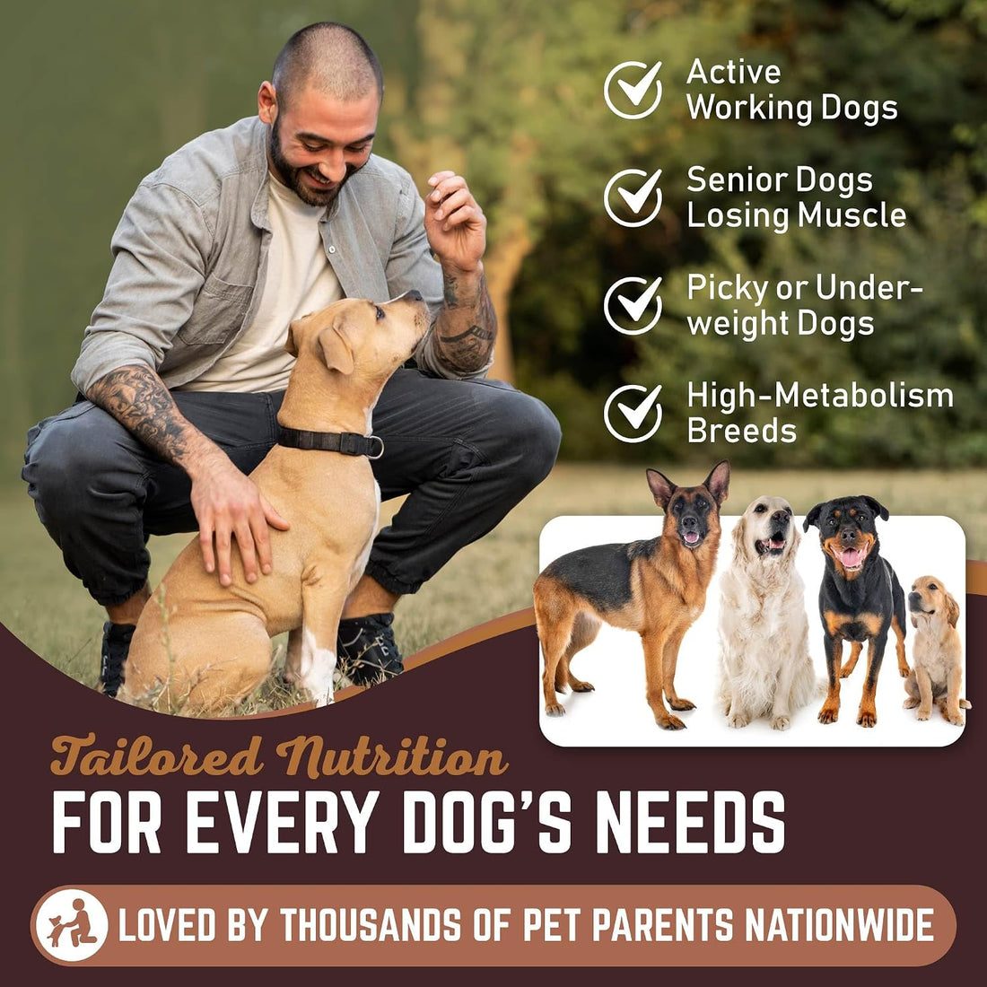 All American Canine Dog Weight Gainer