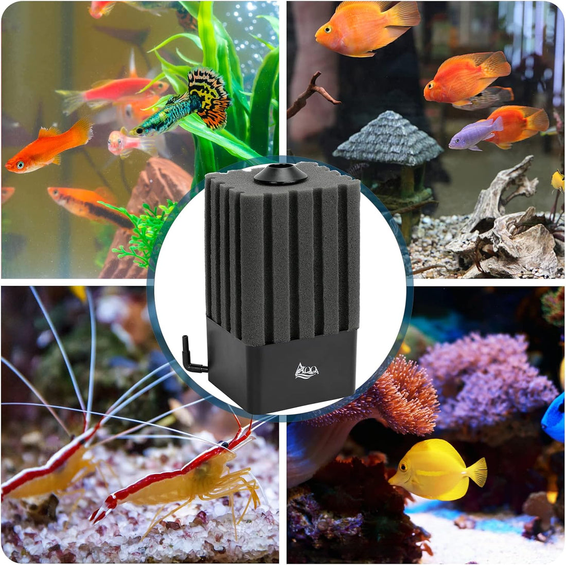 AQQA Aquarium Sponge Filter for 5-20 Gallon