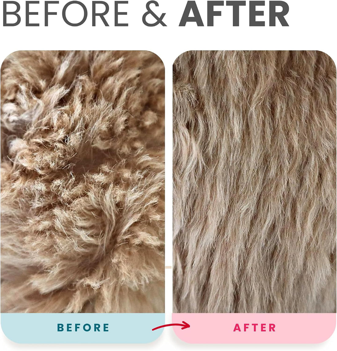 Lillian Ruff Waterless No-Rinse Dog Dry Shampoo Spray & Leave-in Dog