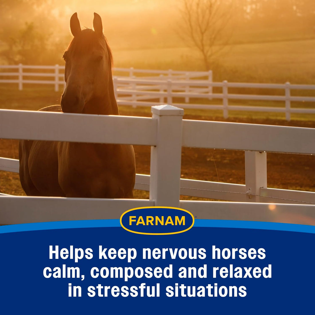 Farnam Quietex II Horse Calming Paste, 32.5 ml Syringe