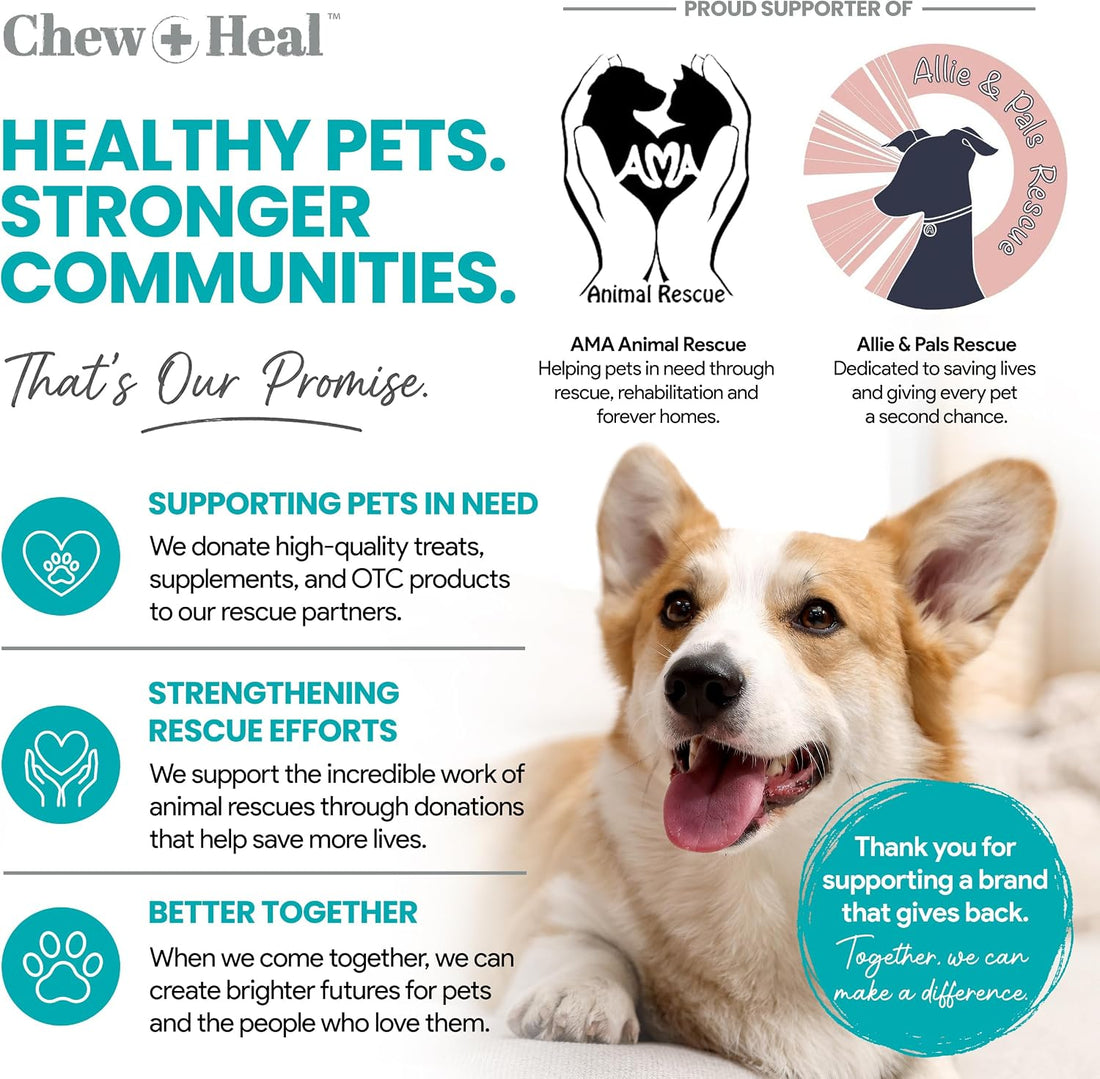Organic Kelp Powder for Dogs