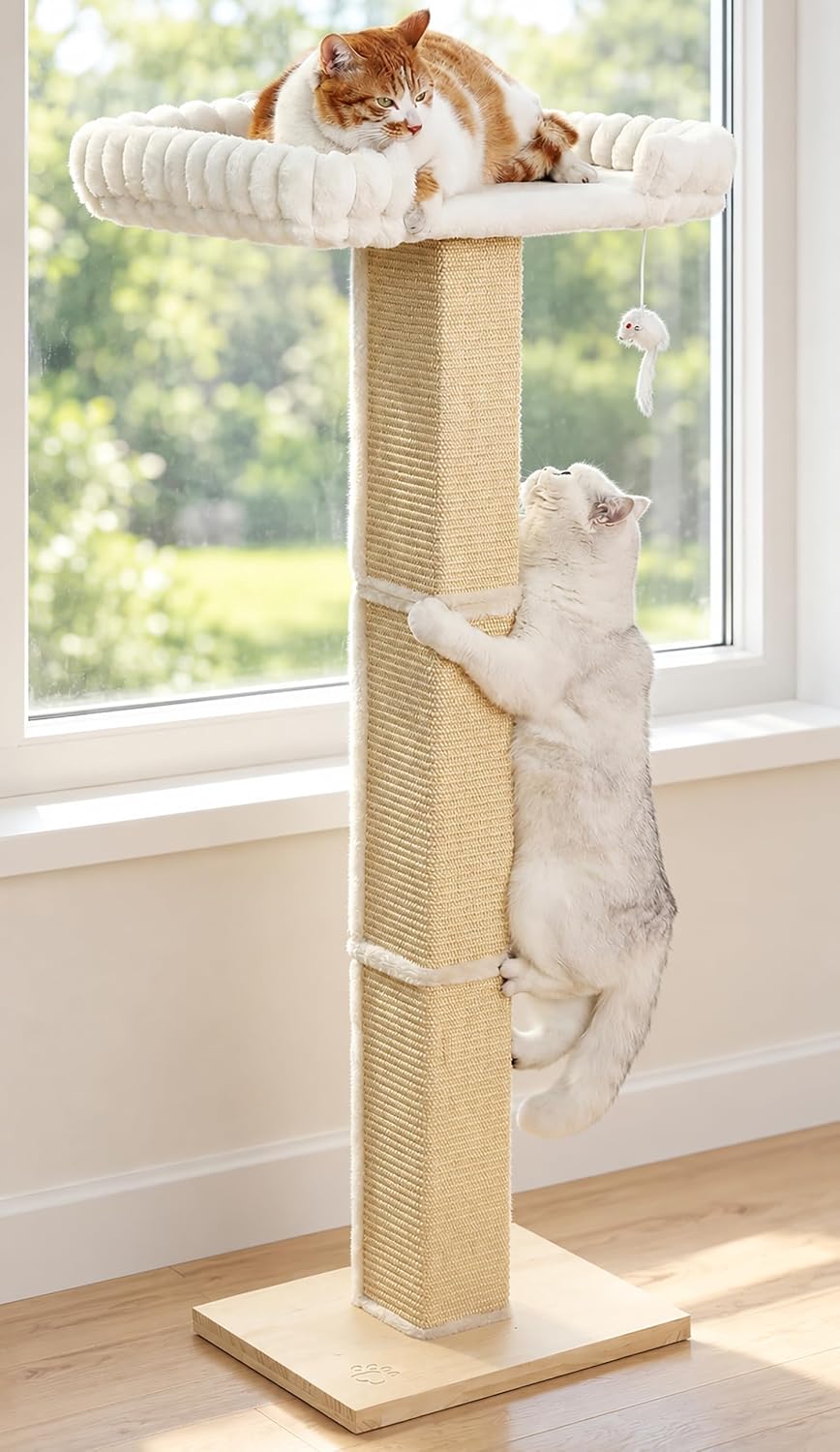 Cat Scratching Post with Large Window Perch
