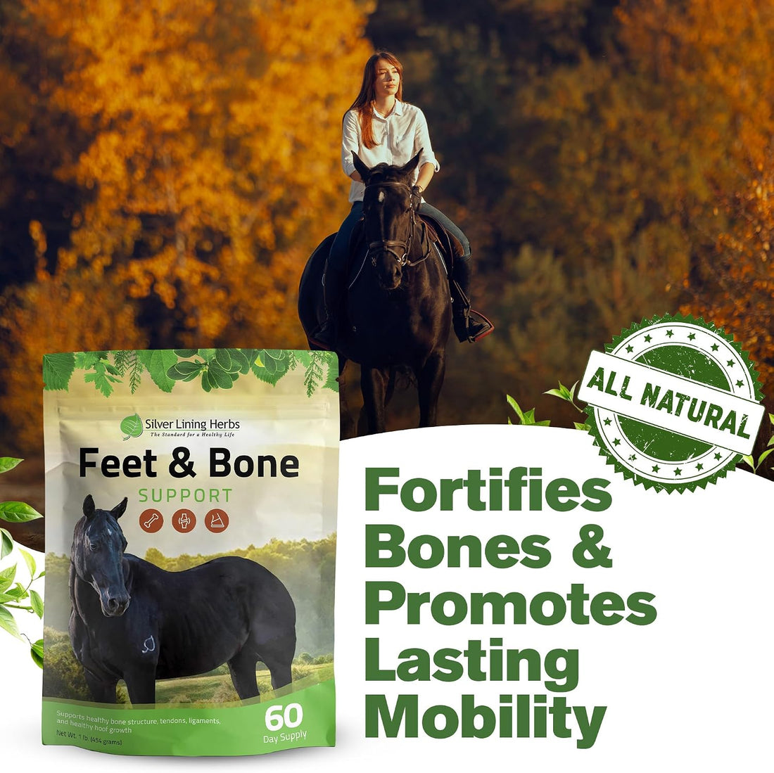 Silver Lining Herbs Feet & Bone Horse Hoof Supplements, Tendons