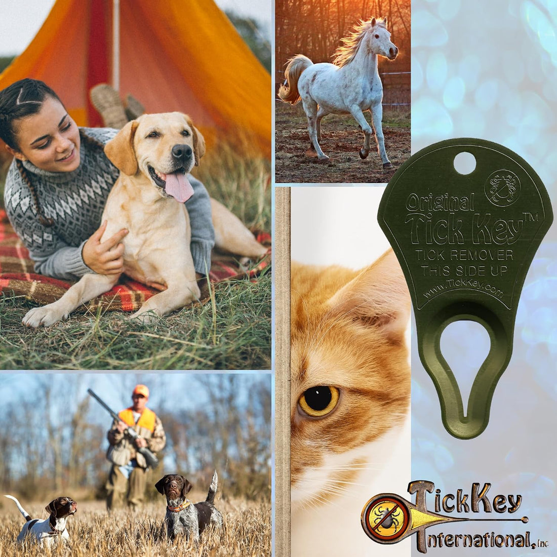The Original Tick Key Tick Removal Device
