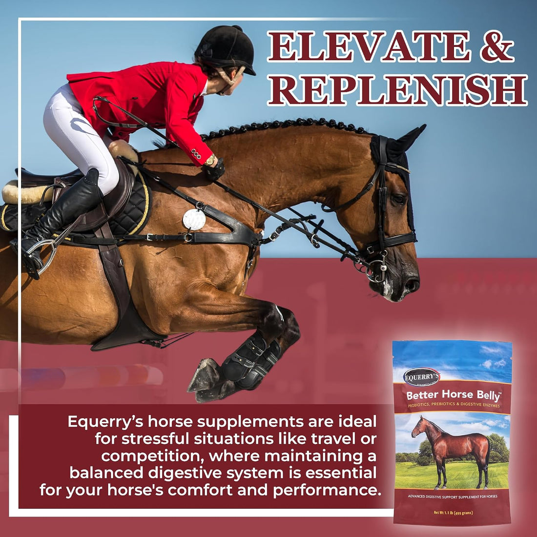 EQUERRY'S Better Horse Belly - Supplement for Horses with Gut Support