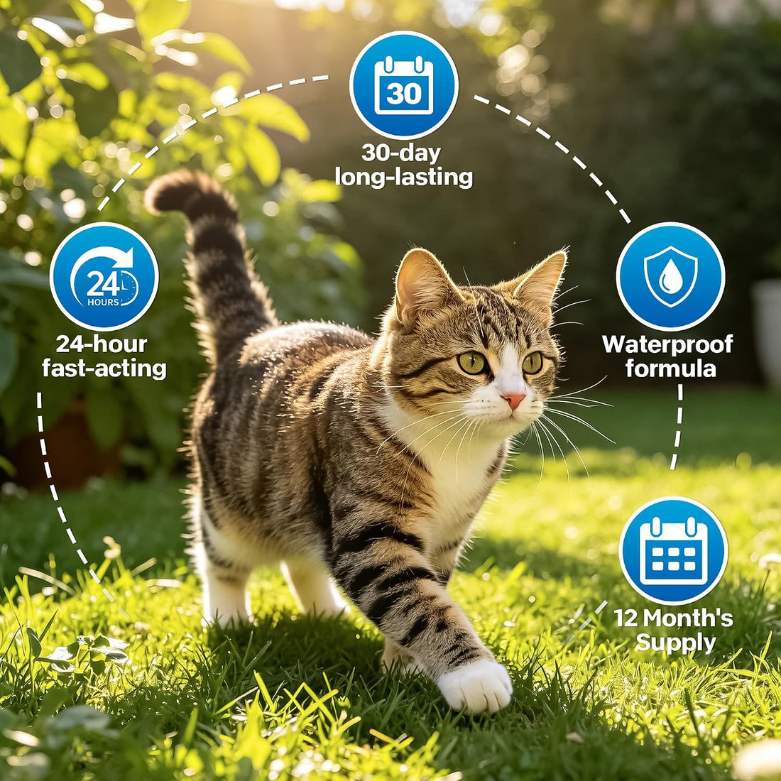 Topical Flea and Tick for Cats