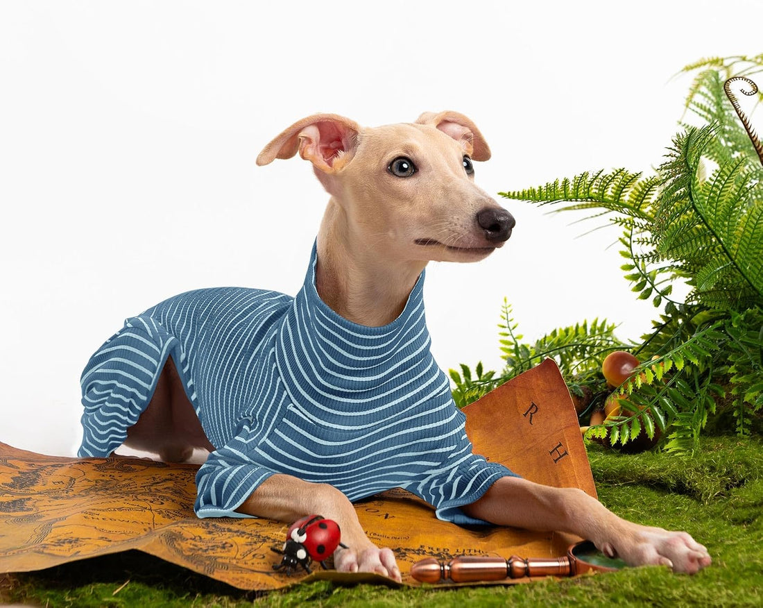 Dog Sweaters for Small Dogs Girls Boys