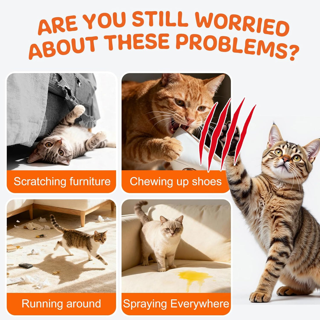 Cat Deterrent Spray for Furniture Protection