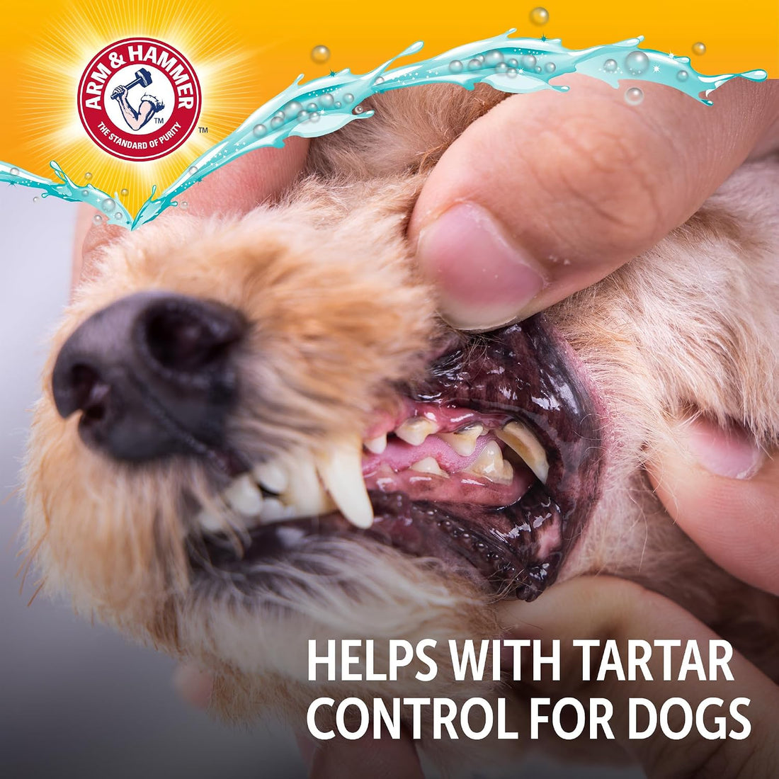 Arm & Hammer Complete Care Dog Dental Spray, Mint, 6 Fl Oz, 2-Pack