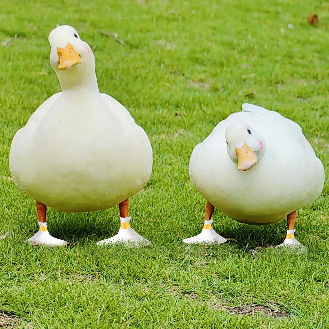 Disposable Duck Shoes for Real Ducks Feet Bumblefoot Care Supplies