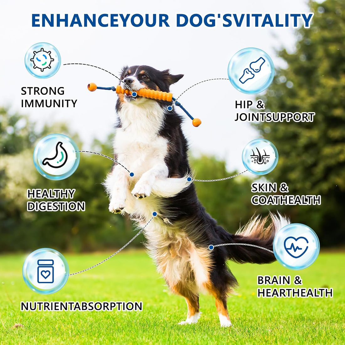 Dog Multivitamin Chews 150ct 40-in-1 Dog Vitamins and Supplements