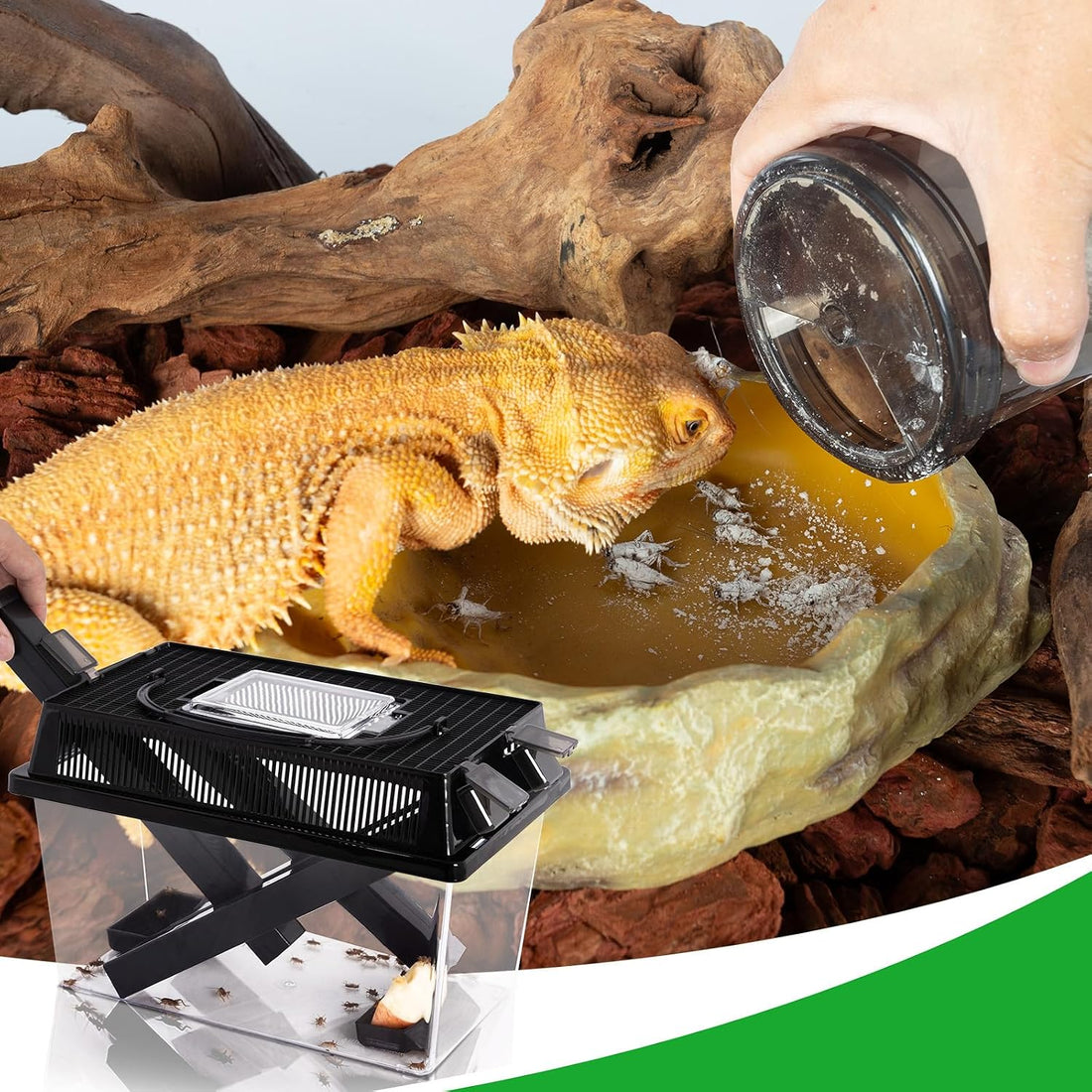 REPTI ZOO Reptile Cricket Keeper & Mixer Combo Kit