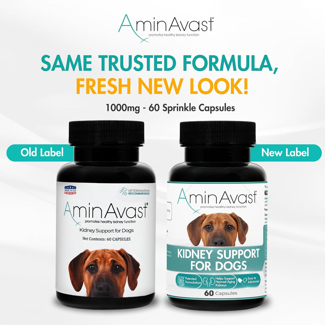 AminAvast 1000 mg Kidney Support for Dogs, 2 Bottles