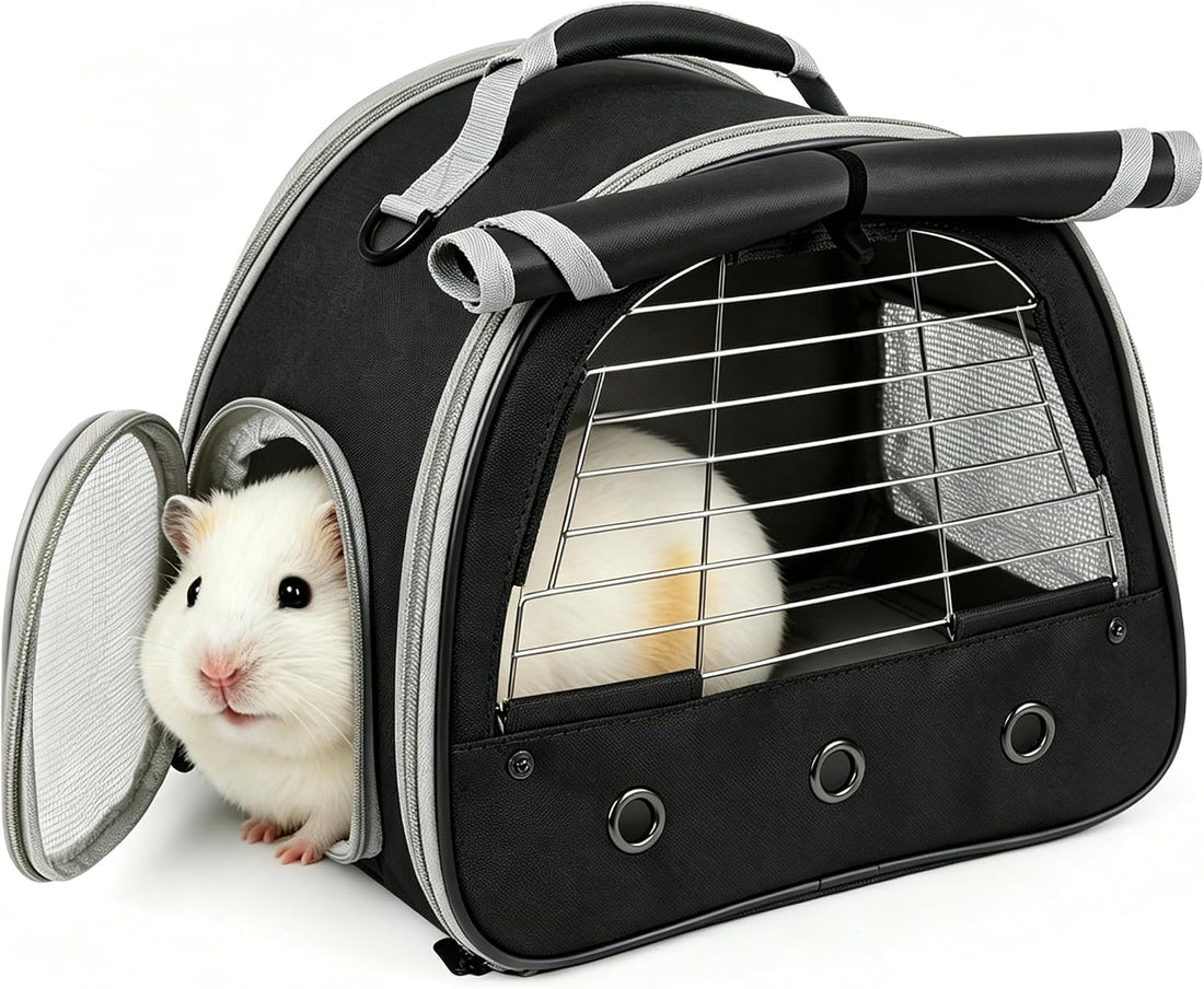 Back Expandable Backpack for Small Animals