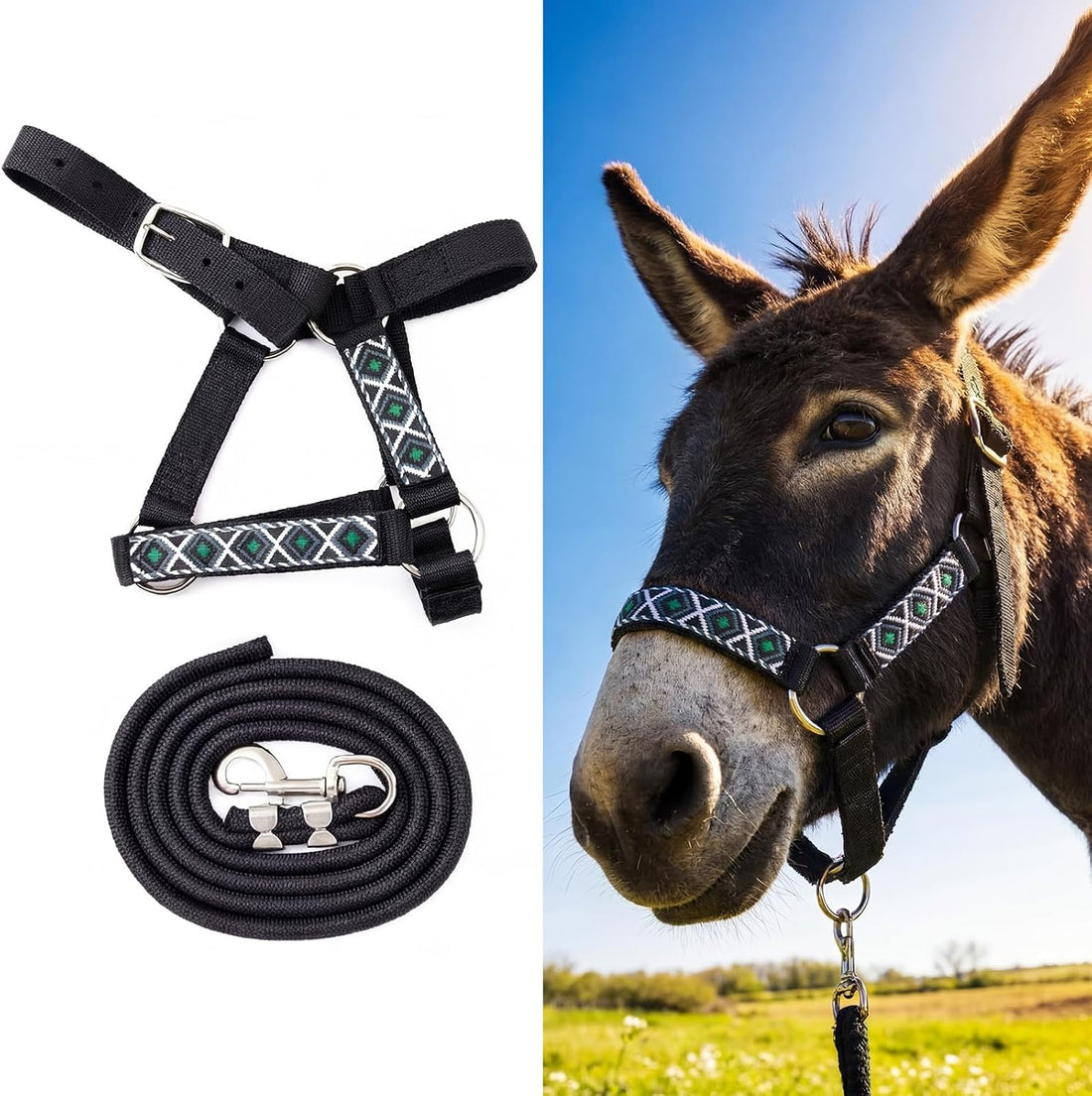1 Set Mini Donkey Halter with Lead Rope Adjust