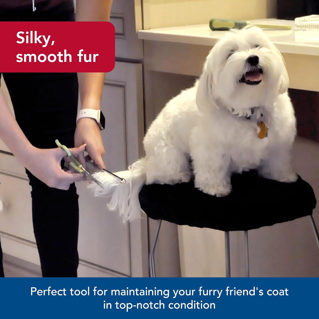 Coastal Pet Safari Dog Grooming Comb for Medium and Coarse Coats
