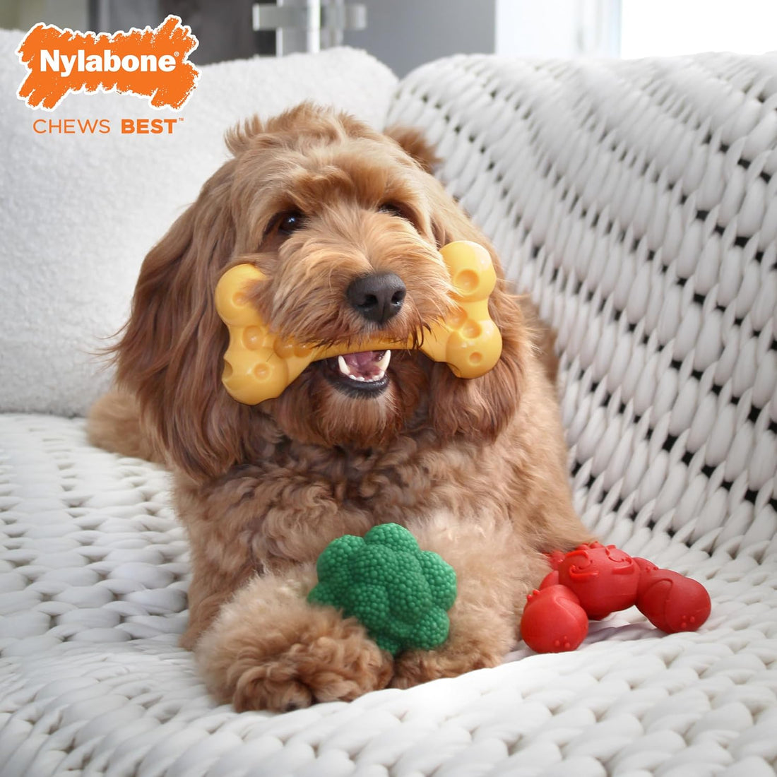Nylabone Power Chew Toy Bundle, Dog Toys for Aggressive Chewers