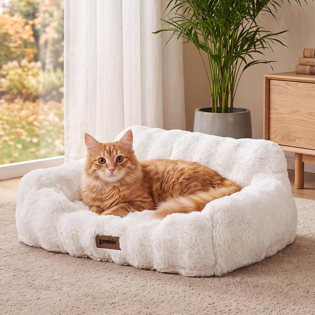 ZOMISIA Orthopedic Cat Couch Bed for Indoor Cats