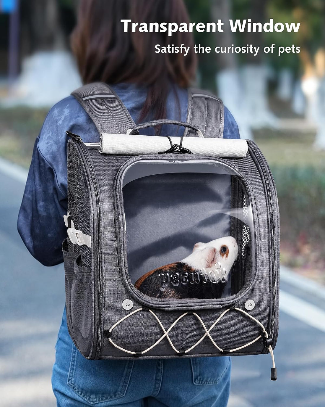 Pecute Small Animal Carrier Guinea Pig Backpack,with Bubble Window