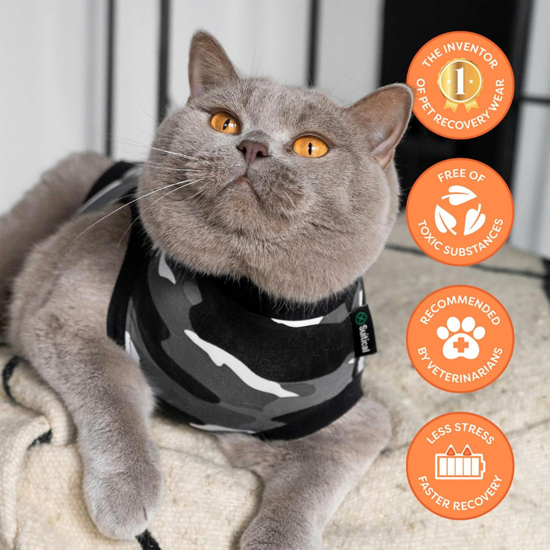 Suitical Recovery Suit for Cats