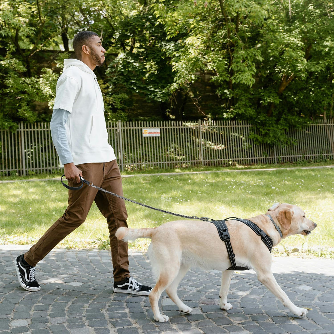 Chain Dog Leash, Bite-Proof Metal Leash, with Padded Handle