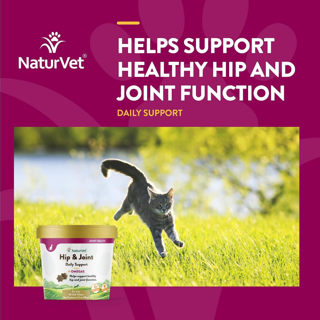 NaturVet Hip & Joint Supplements for Cats