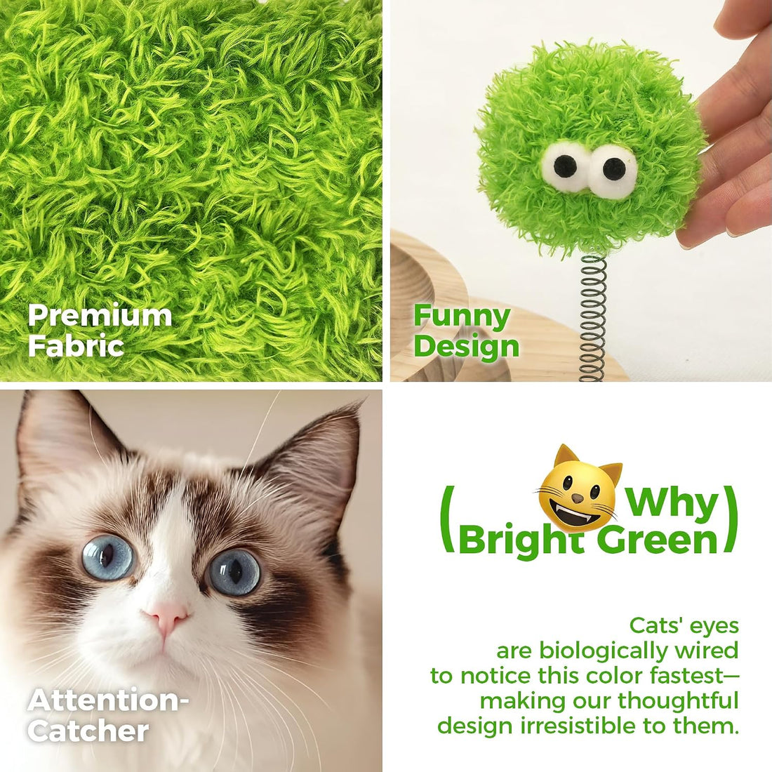 4-in-1 Cat Scratching Post for Indoor Kittens