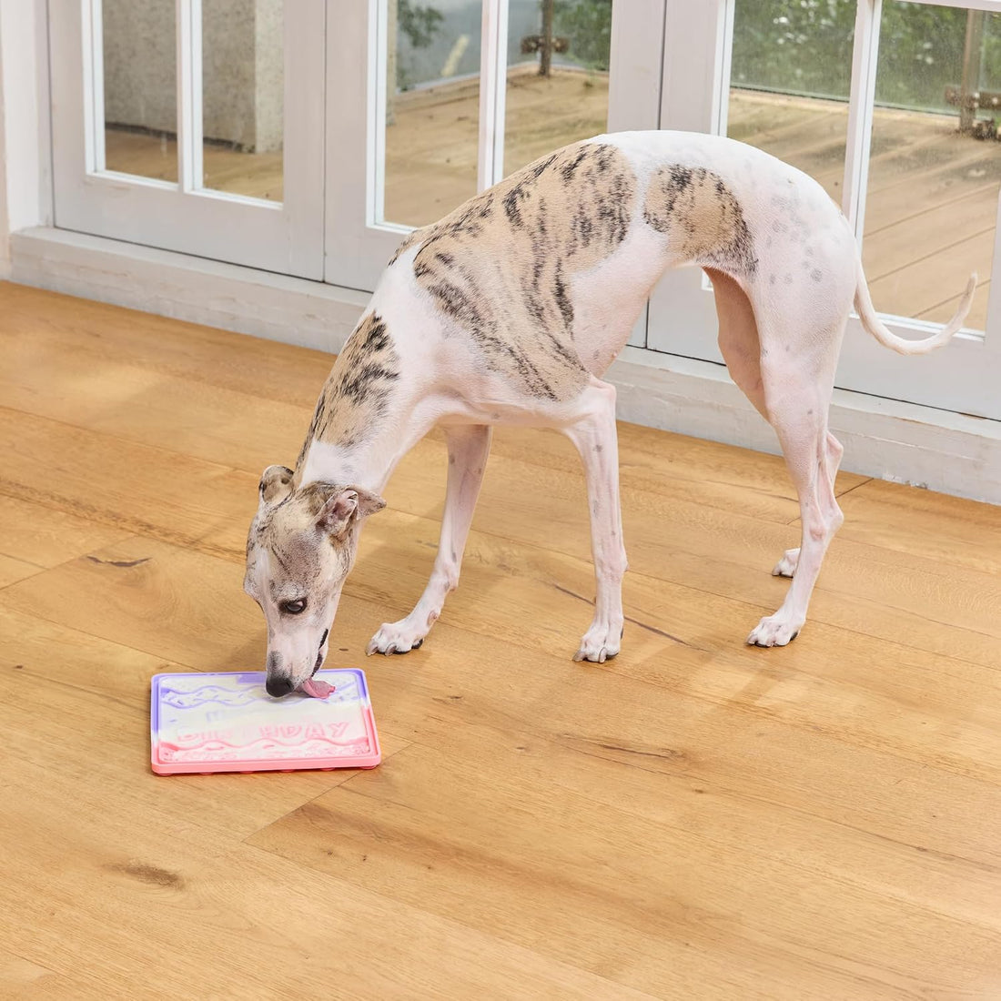 CHEWFFON Dog & Cat Lick Mat, Birthday Silicone Licky Pad