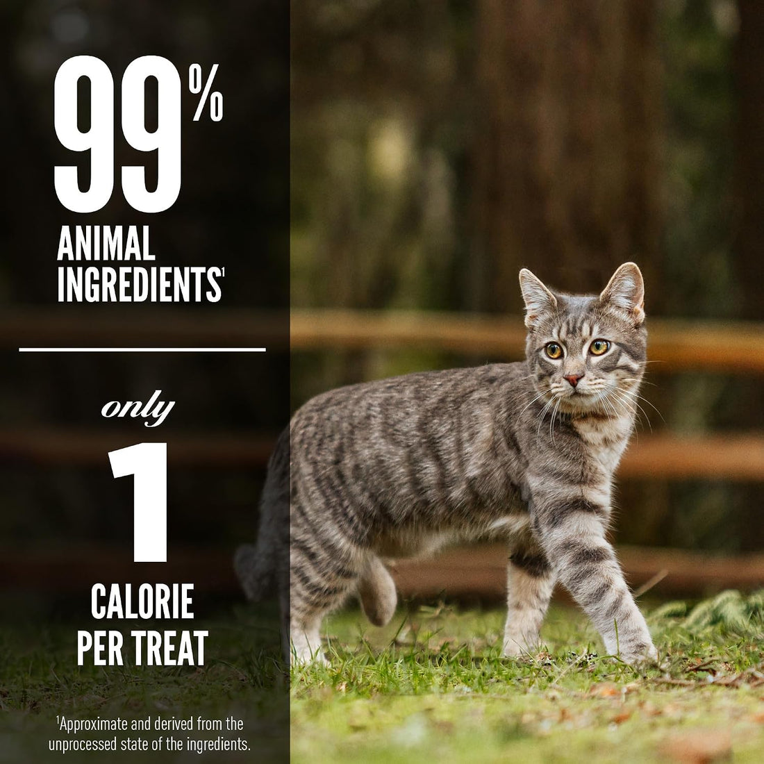 ORIJEN Freeze Dried Cat Treats Grain Free High Protein Raw Animal