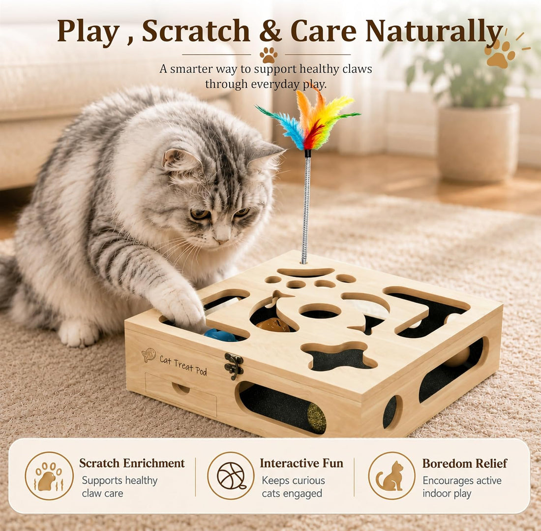 Cat Nail Scratch Puzzle Enrichment Box