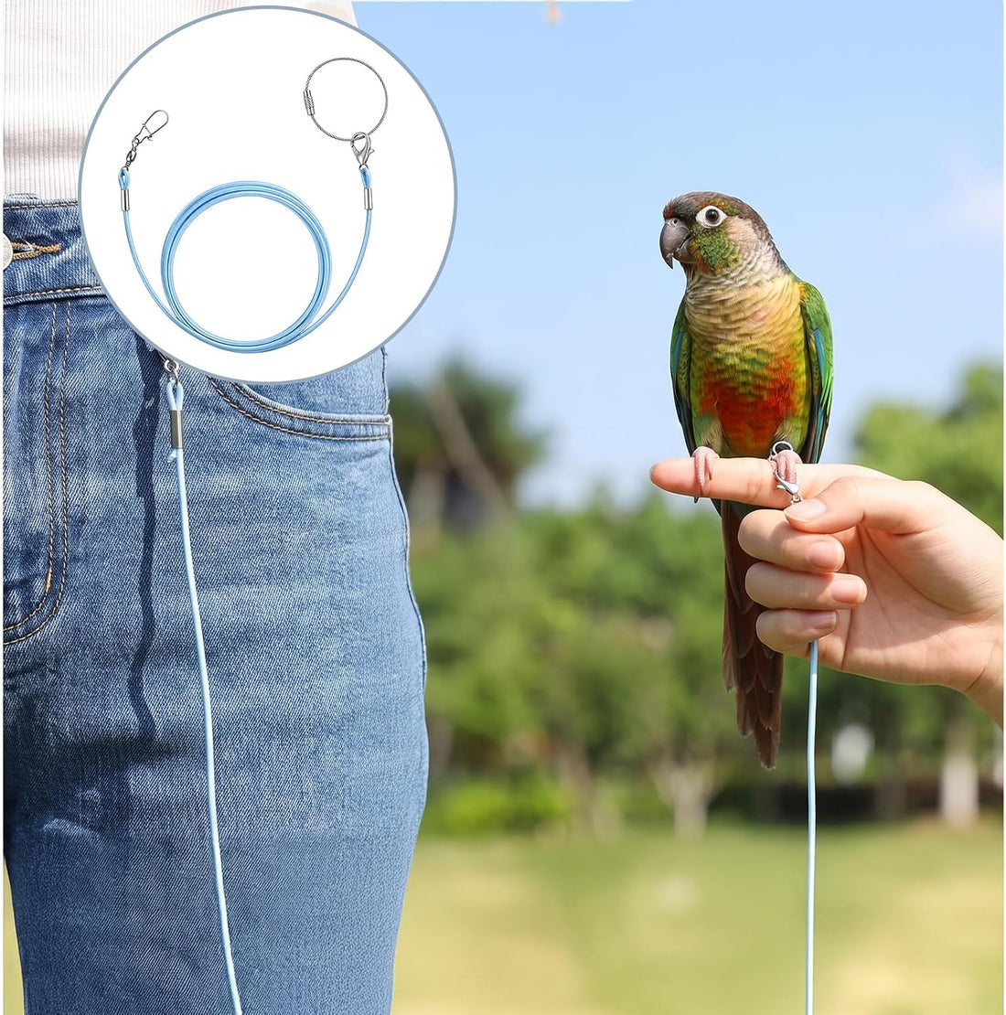 Bird Leash with 5 Different Size Foot Ring Parrot Flying Harness