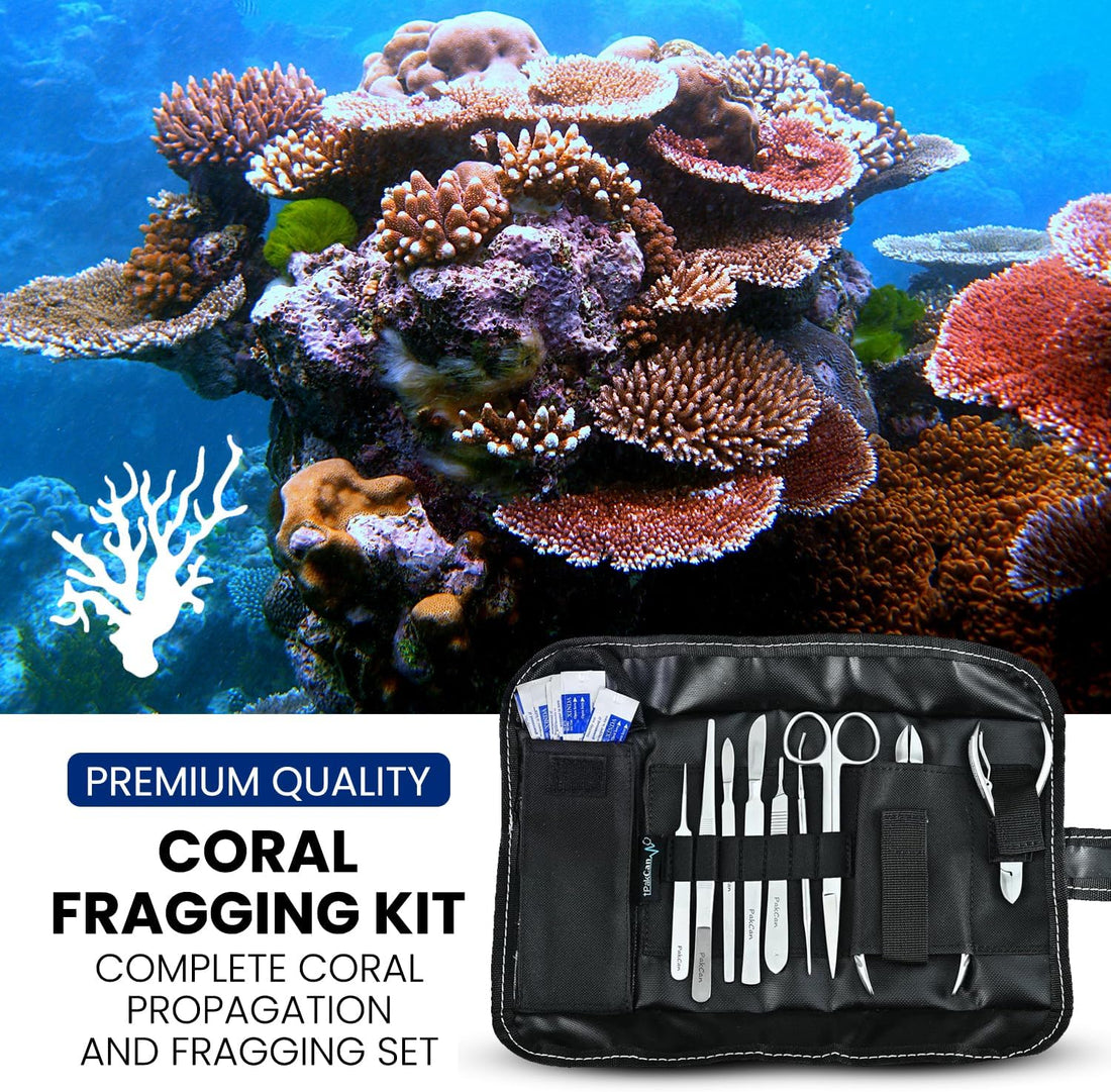Premium Coral Fragging Kit - Complete Coral Propagation and Fragging