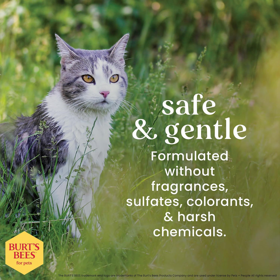 Burt's Bees for Pets Waterless Cat Shampoo Spray