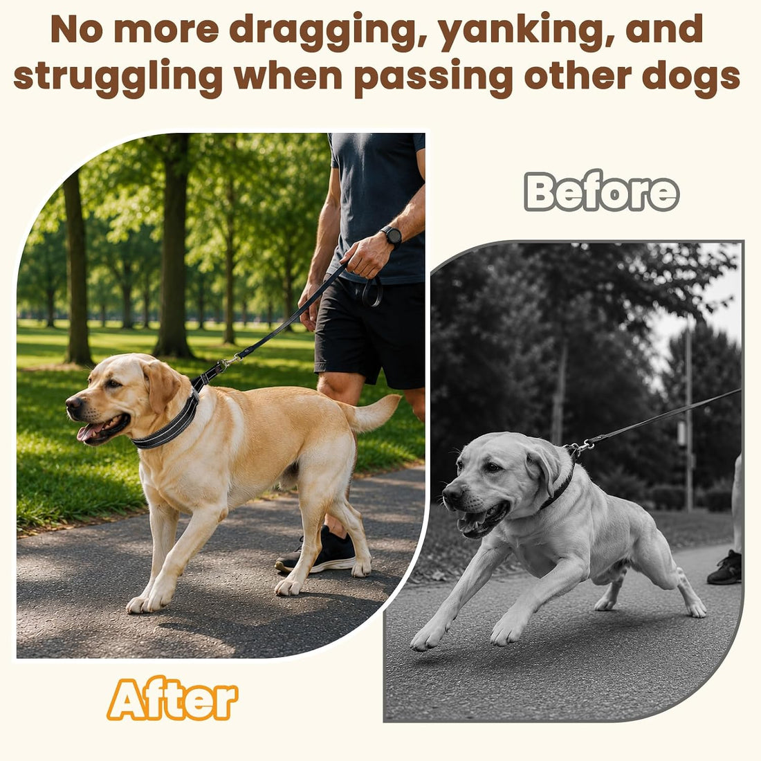 Mayerzon No Pull Collar with Alloy Buckle for Large Dogs that Pull