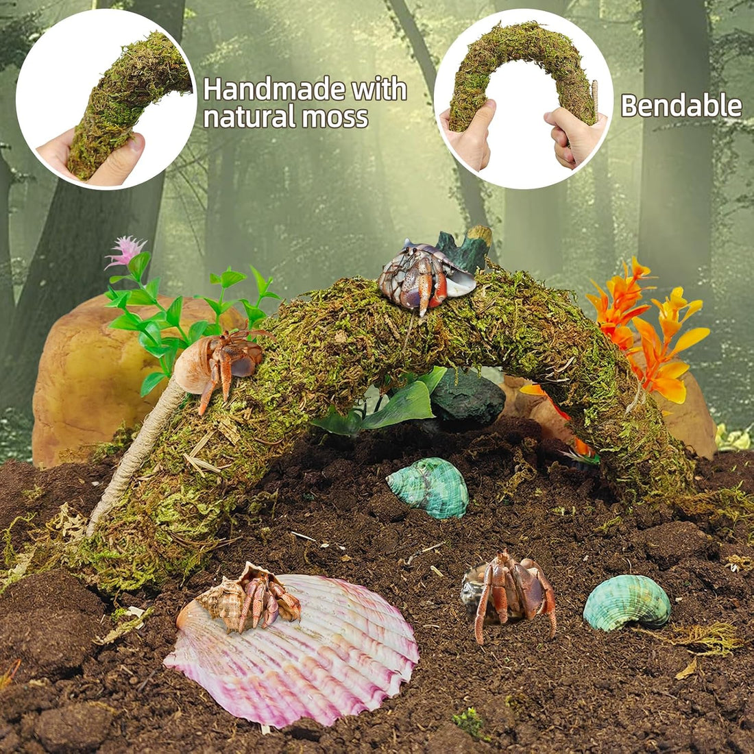 8PCS Hermit Crab Accessories Climbing Toys Hammock & Coconut Shell