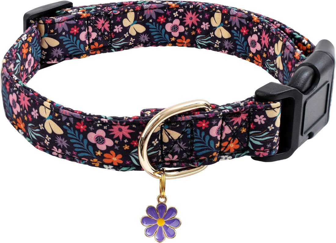 Faygarsle Pink Halloween Dog Collar for Small Medium Large Dogs M