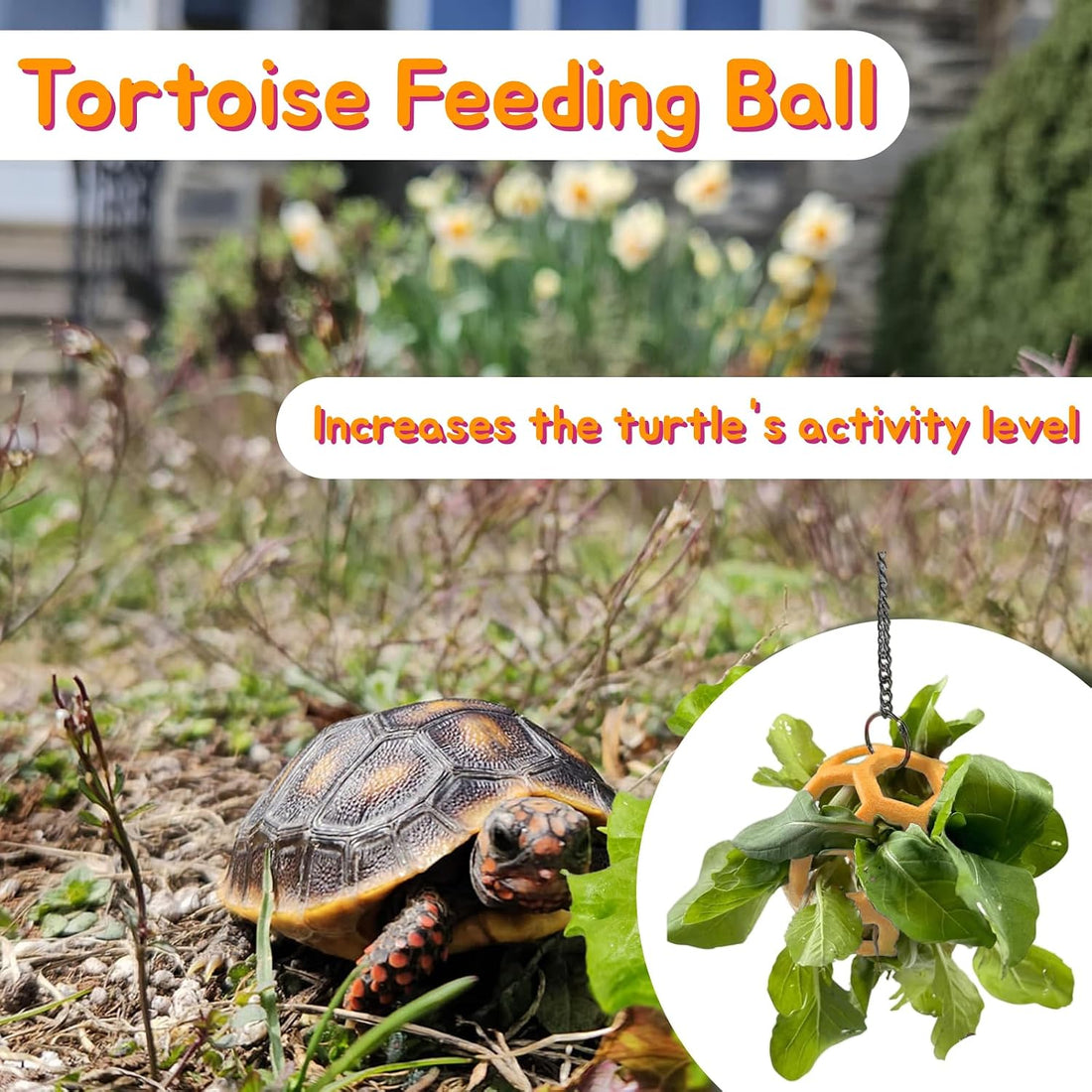 3 Pcs Turtle Tank Accessories, Tortoise Brush with Suction Cup