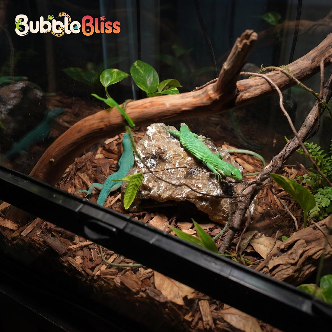 Reptile Hide Rock Cave, Small Resin Corner Hideout for Juvenile