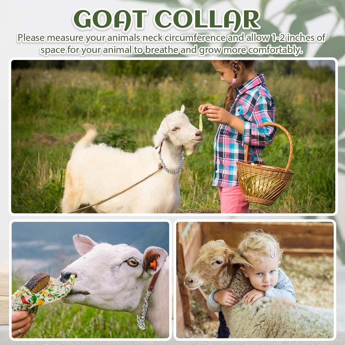 Misdary 1 Pcs Goat Show Collars Adjustable 14" Chain, 14''