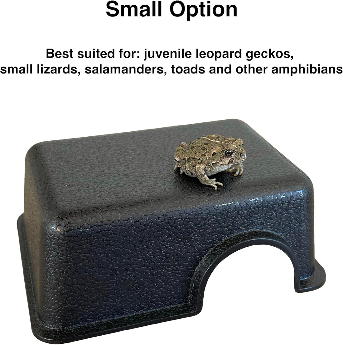 Plastic Reptile Hide Box for Leopard Geckos, Snakes, Lizards