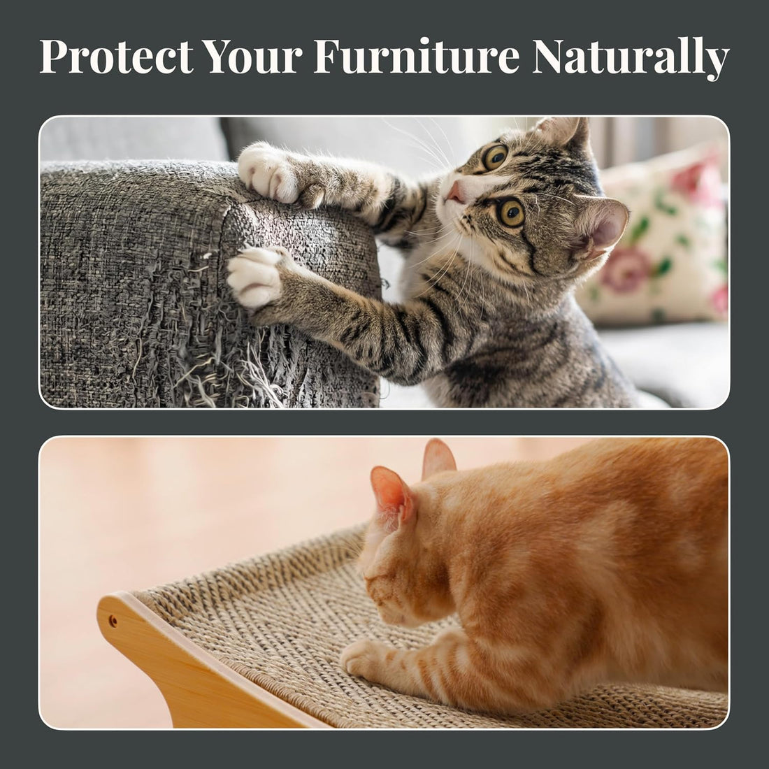 XL Sisal Cat Scratcher Bed with Elevated Hammock for Indoor Cats