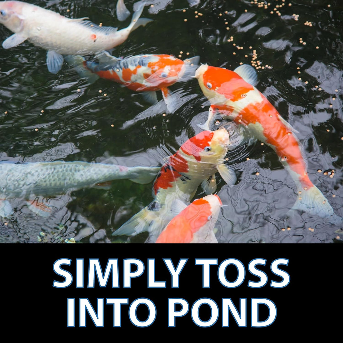 CrystalClear Staple Pond Fish Food for Koi & Goldfish, 2.2 Pound Bag